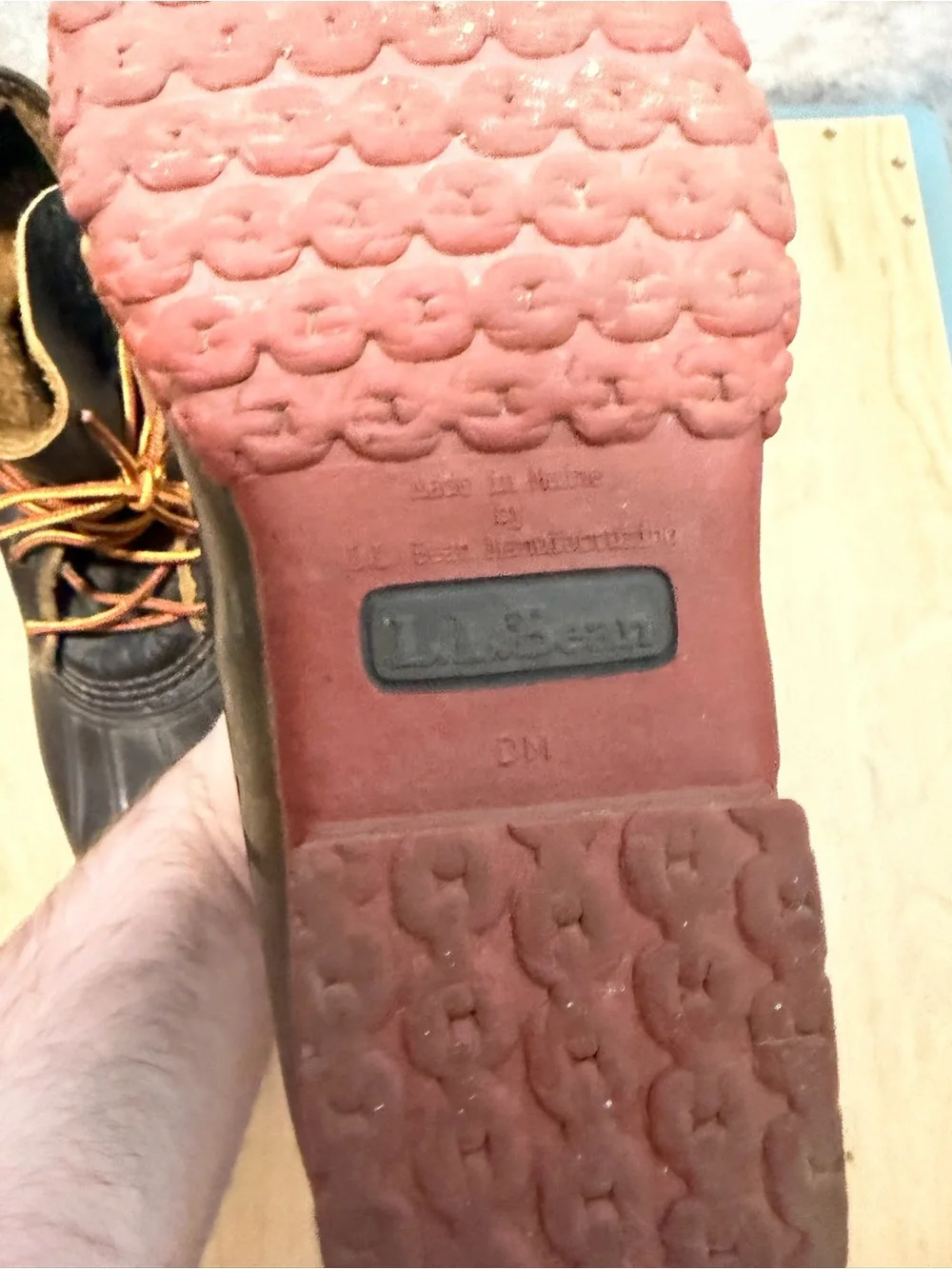 L.L. Bean 8
